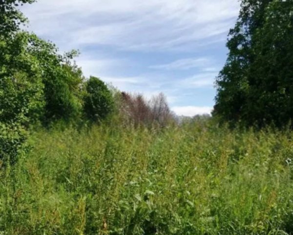 terreno agricolo in vendita a Treviso