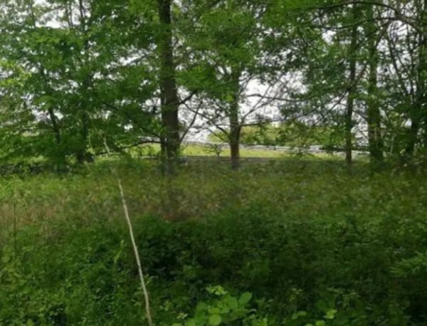 terreno agricolo in vendita a Treviso