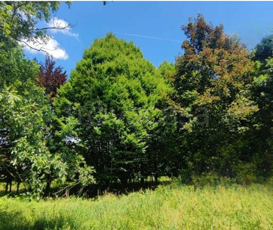 ufficio in vendita a Treviso in zona San Lazzaro