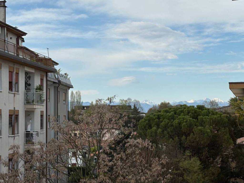 appartamento in vendita a Treviso in zona Centro Storico
