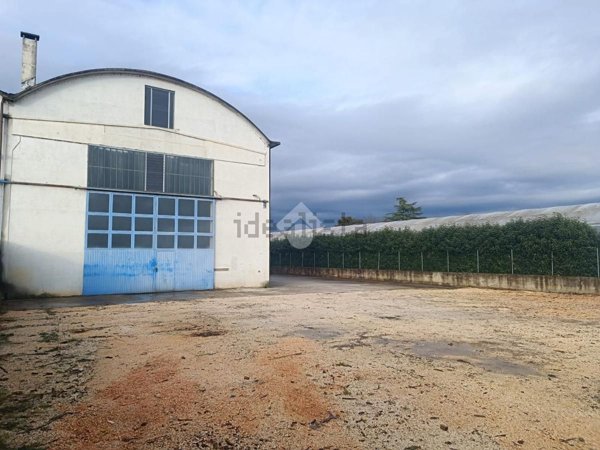 capannone in vendita a Treviso in zona Canizzano