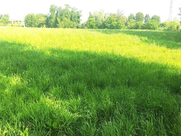 casa semindipendente in vendita a Treviso in zona Ghirada / San Zeno