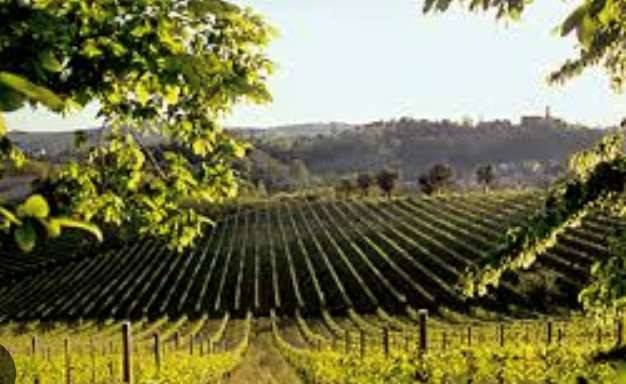 terreno agricolo in vendita a Treviso in zona Centro Storico