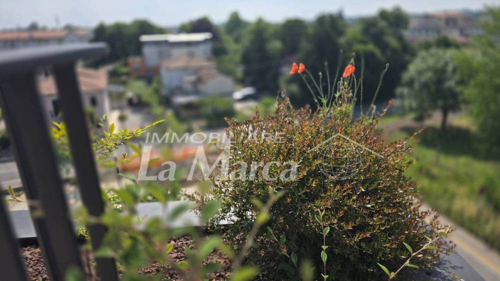 appartamento in vendita a Treviso in zona Centro Storico