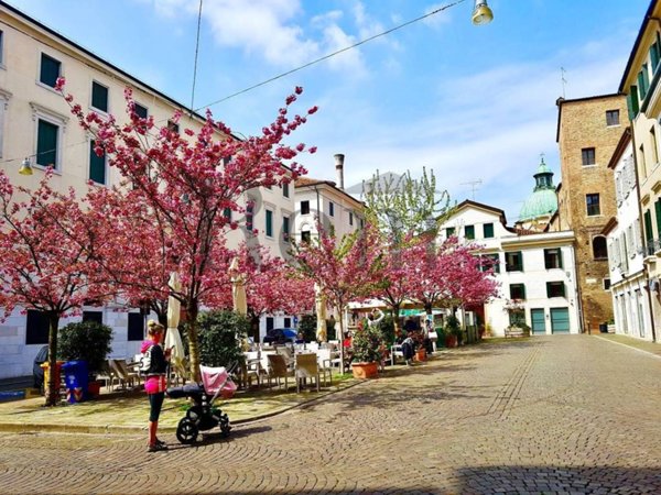 negozio in vendita a Treviso in zona Centro Storico