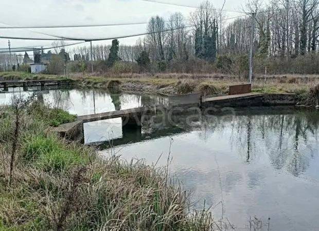 terreno edificabile in vendita a Treviso in zona Canizzano