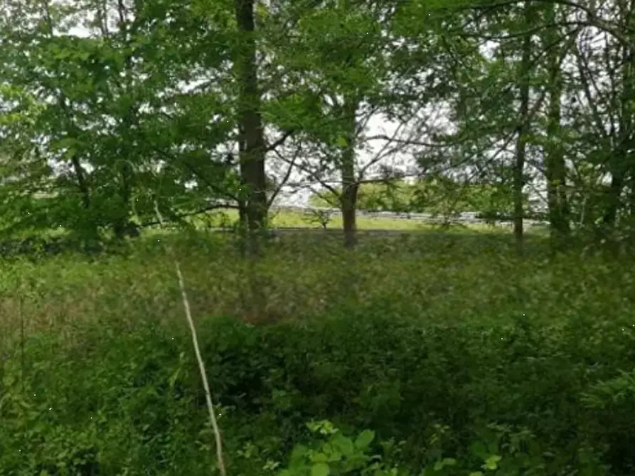 terreno agricolo in vendita a Treviso
