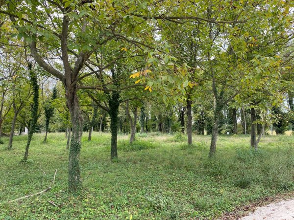 terreno edificabile in vendita a Treviso in zona Sant'Antonino