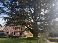 appartamento in vendita a Treviso