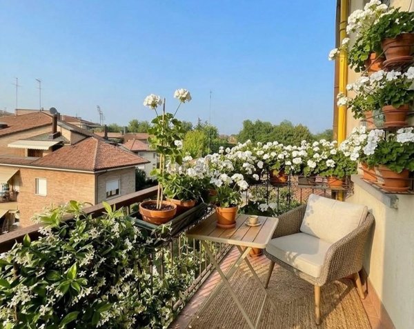 appartamento in vendita a Treviso in zona Centro Storico