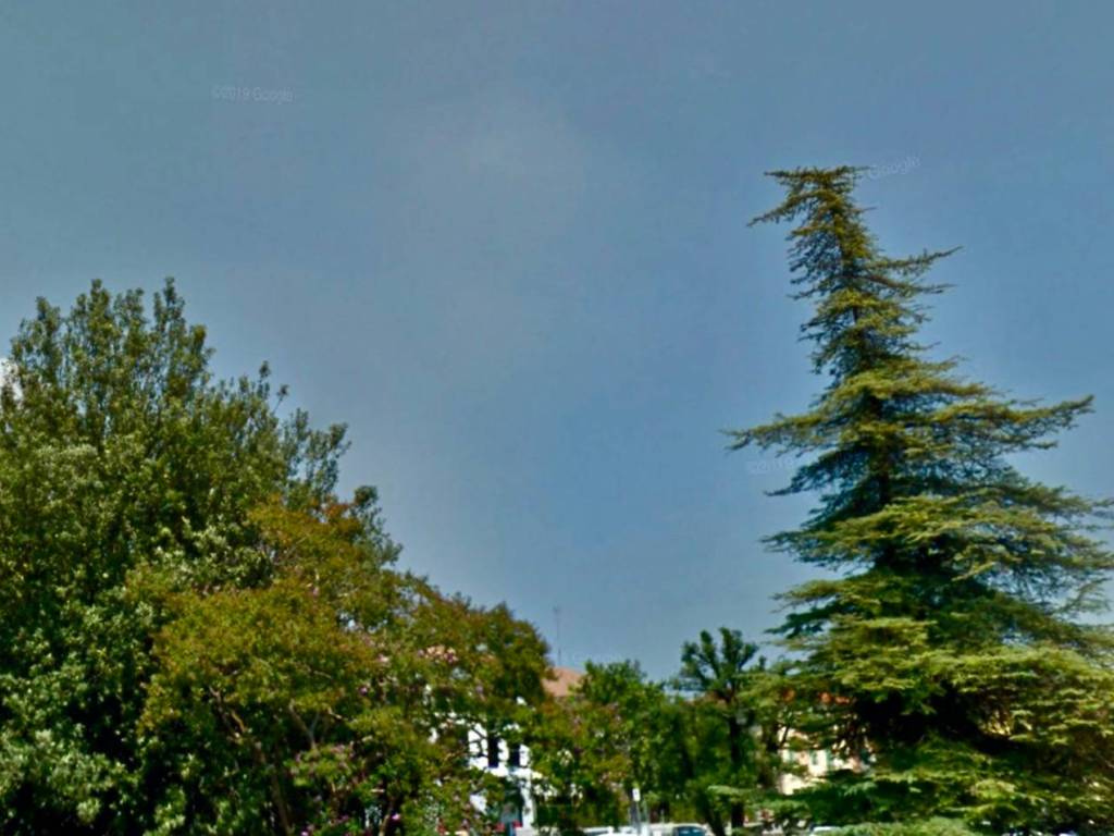 casa indipendente in vendita a Treviso in zona Centro Storico