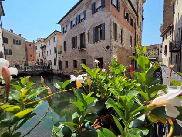appartamento in vendita a Treviso in zona Centro Storico