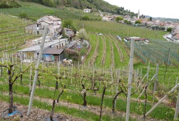 terreno agricolo in vendita a Valdobbiadene in zona San Vito