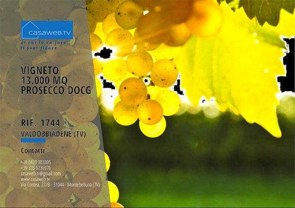 terreno agricolo in vendita a Valdobbiadene