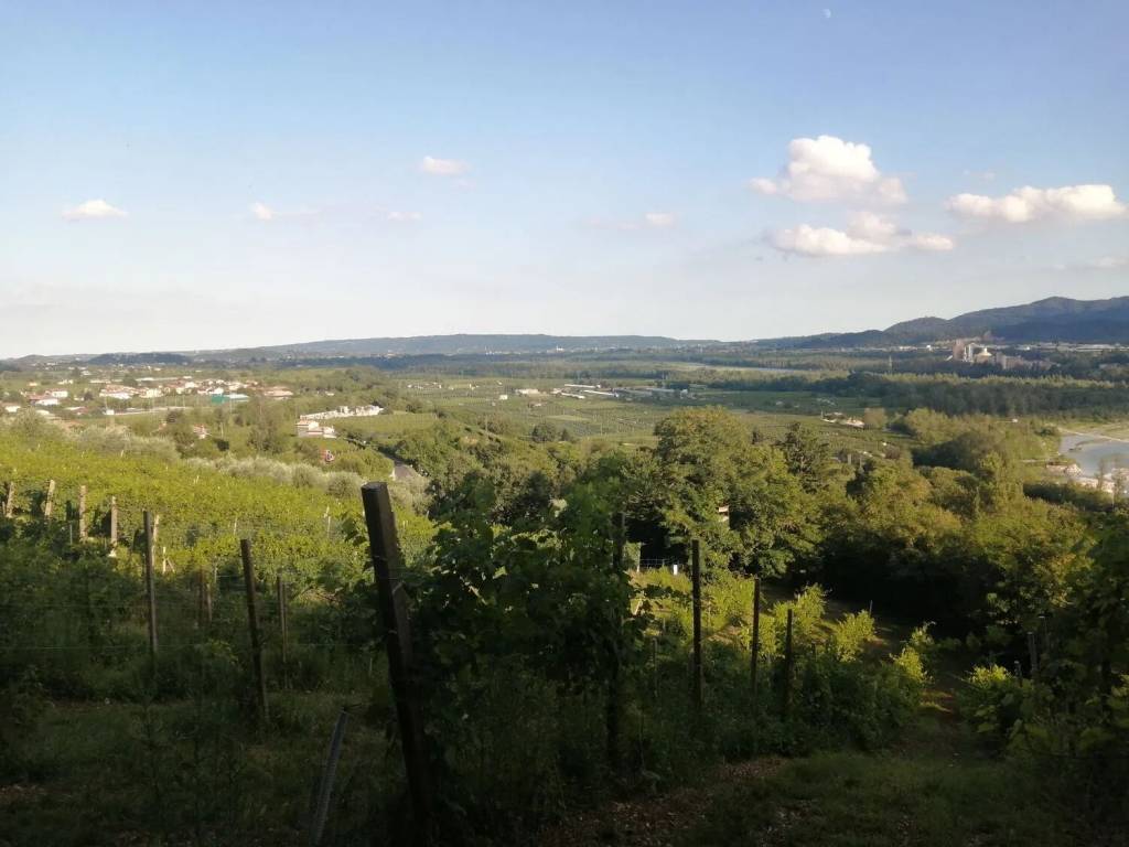 terreno agricolo in vendita a Valdobbiadene