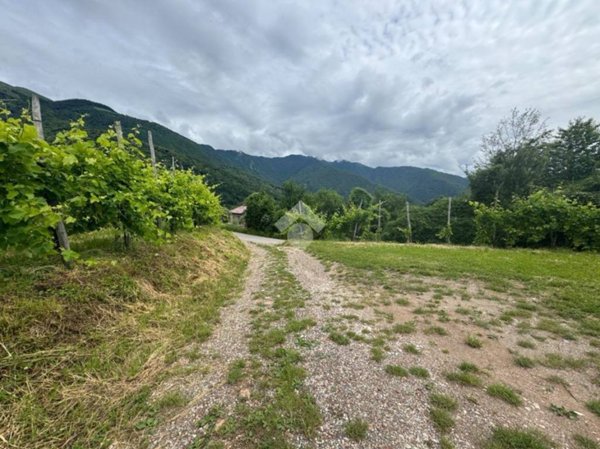 terreno agricolo in vendita a Valdobbiadene in zona San Vito