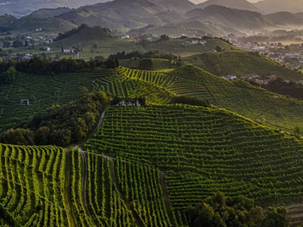 terreno agricolo in vendita a Valdobbiadene