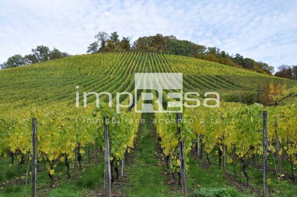 terreno agricolo in vendita a Valdobbiadene