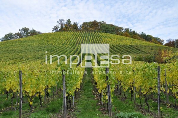 terreno agricolo in vendita a Valdobbiadene in zona San Vito