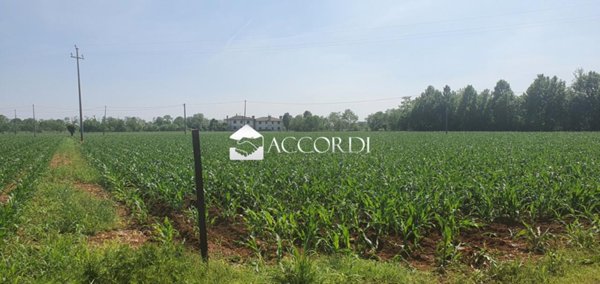 negozio in vendita a Vedelago