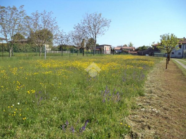 casa indipendente in vendita a Vedelago in zona Cavasagra