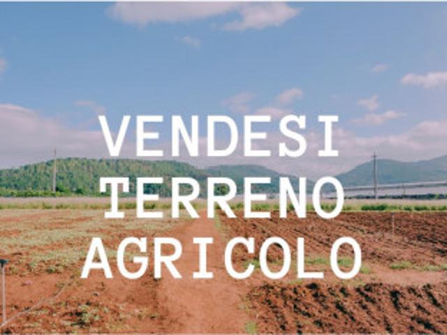 terreno agricolo in vendita a Vedelago