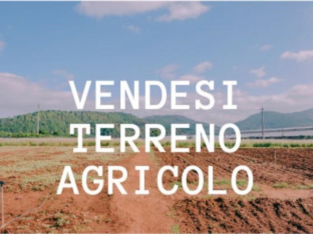 terreno agricolo in vendita a Vedelago in zona Casacorba