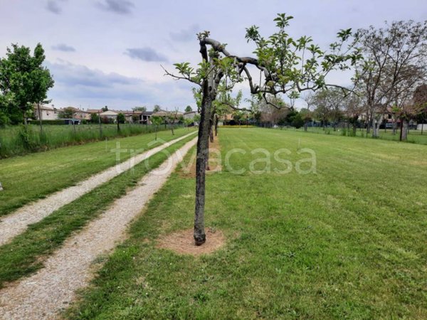 terreno agricolo in vendita a Vedelago in zona Cavasagra
