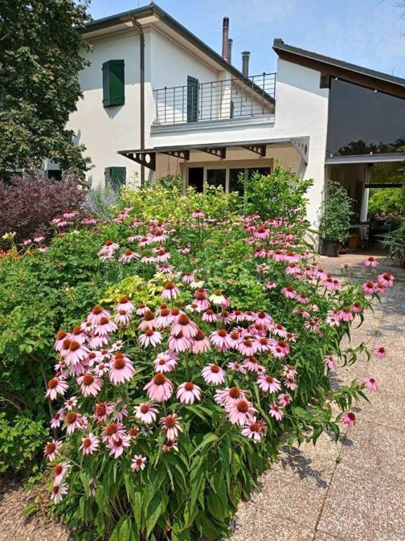 casa indipendente in vendita a Vedelago in zona Fanzolo