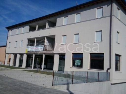 negozio in vendita a Vedelago in zona Fanzolo