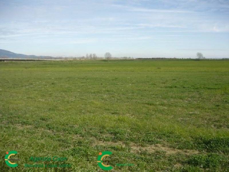 terreno agricolo in vendita a Vedelago in zona Barcon