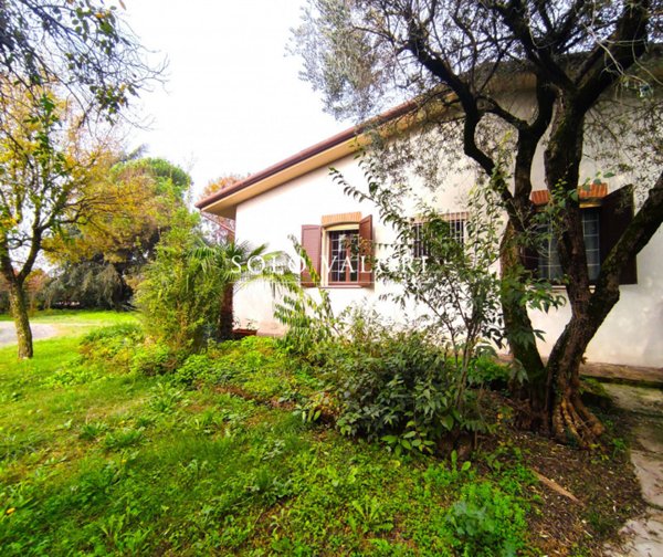 casa indipendente in vendita a Vedelago