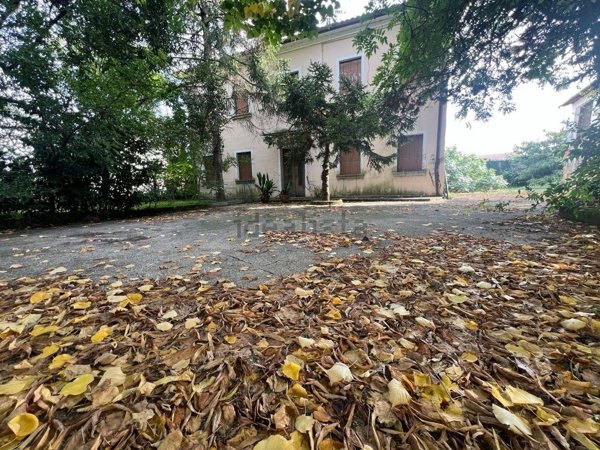 casa indipendente in vendita a Vedelago