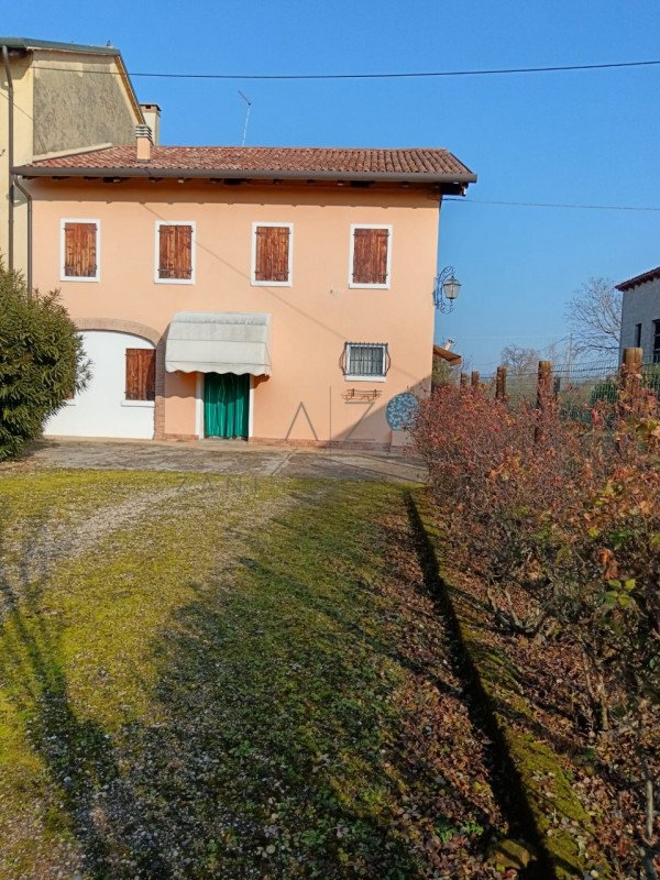 casa indipendente in vendita a Vedelago