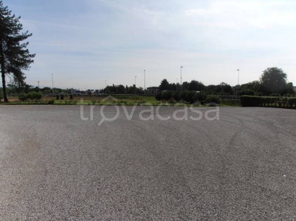 terreno agricolo in vendita a Vedelago