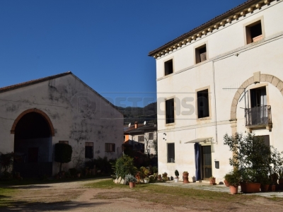 casa indipendente in vendita a Vedelago