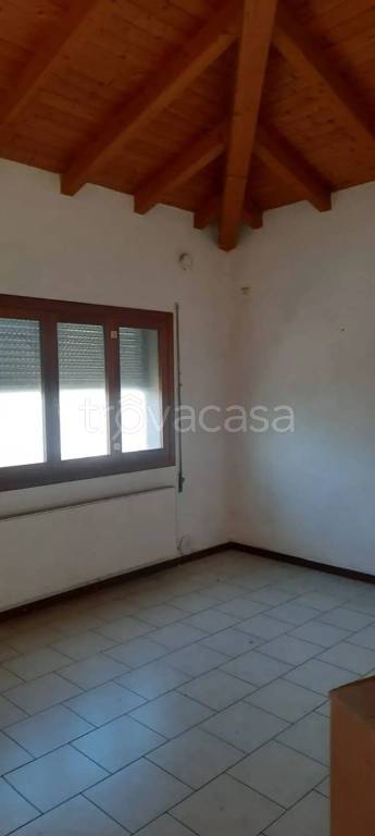 casa indipendente in vendita a Vedelago
