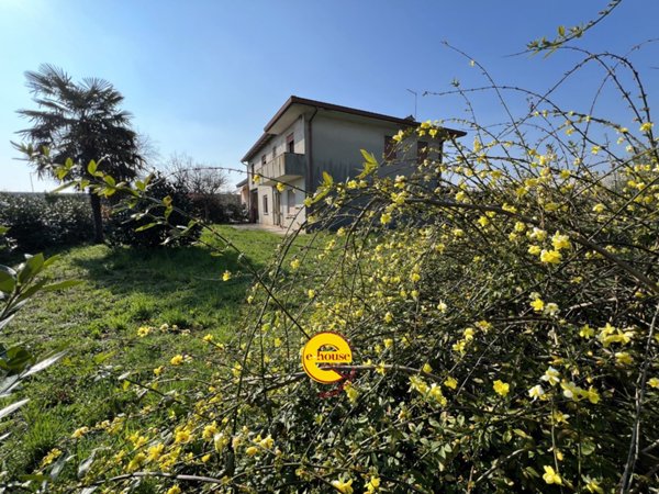 casa indipendente in vendita a Vedelago