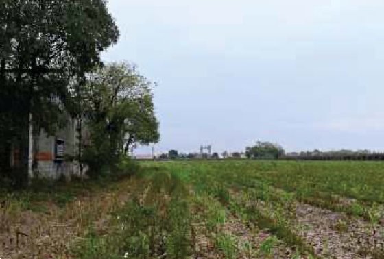 locale di sgombero in vendita a Vedelago
