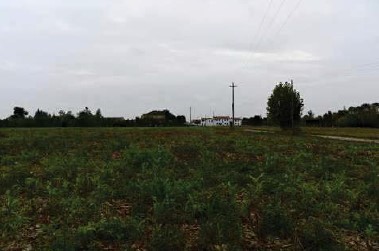 locale di sgombero in vendita a Vedelago