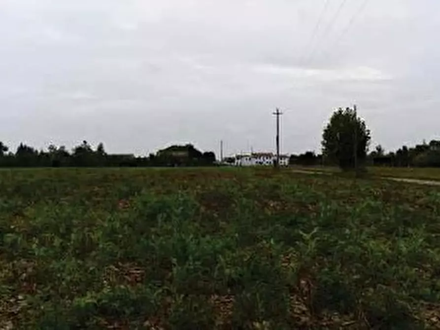mansarda in vendita a Vedelago