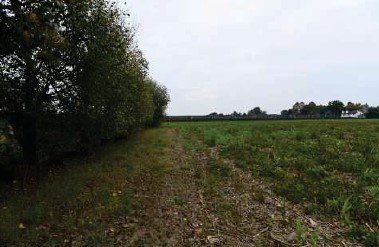 locale di sgombero in vendita a Vedelago in zona Fanzolo