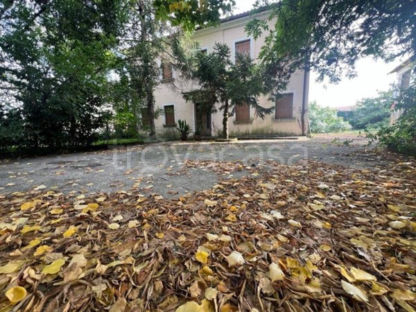 casa indipendente in vendita a Vedelago