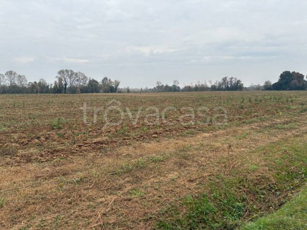 terreno agricolo in vendita a Vedelago