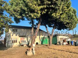 casa indipendente in vendita a Vedelago in zona Albaredo