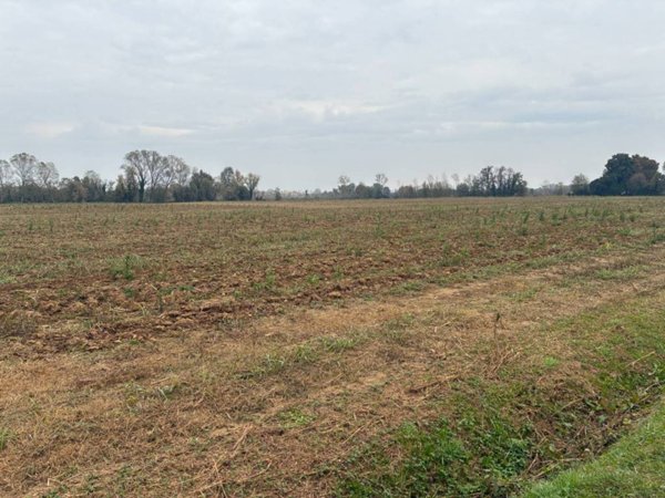 terreno agricolo in vendita a Vedelago