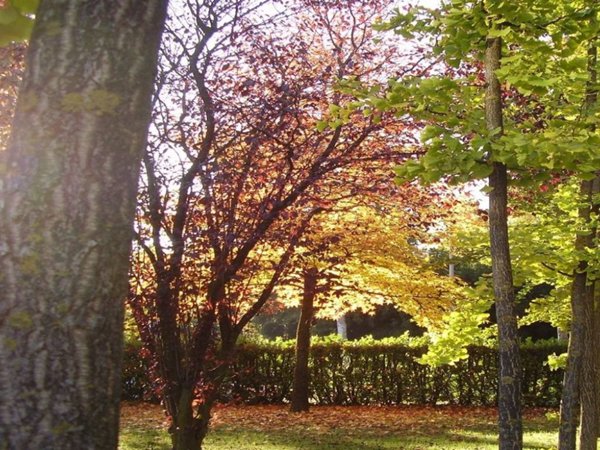 appartamento in vendita a Vedelago in zona Albaredo