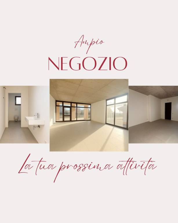 negozio in vendita a Vedelago