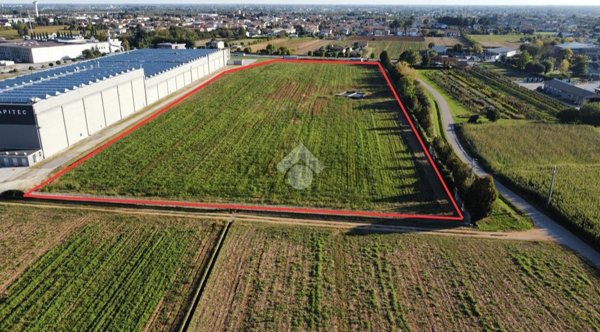 terreno edificabile in vendita a Vedelago