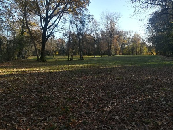 terreno agricolo in vendita a Vedelago in zona Casacorba